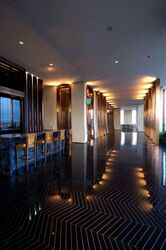 The Ritz-Carlton  (D9), Condominium #585159691